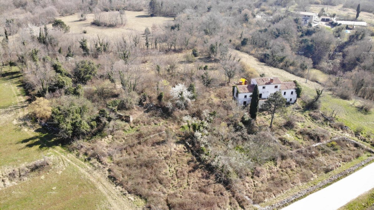 ISTRIA VILLA WITH POOL AND 4,000 m² OF LAND – OPRTALJ 10