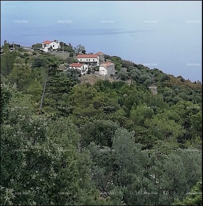 Prodaja gradbenega zemljišča s projektom, Plomin 1