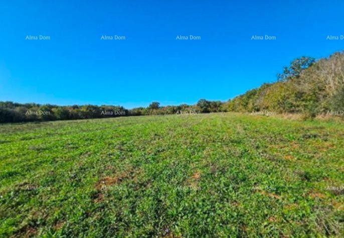 Эемля Marčana 5