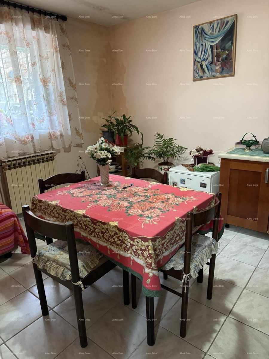 A house with a yard near the center, Buje! 18