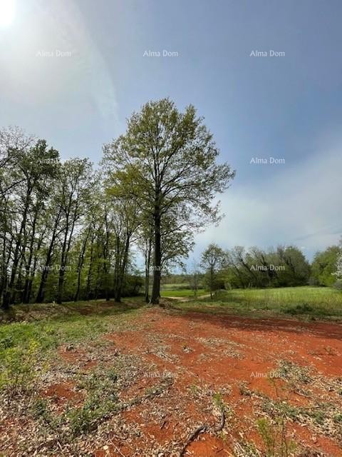 In vendita terreno edificabile con progetto – Barban (1.010 m²) 6