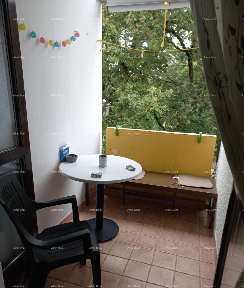 Apartment 32 m2, Mareda 1