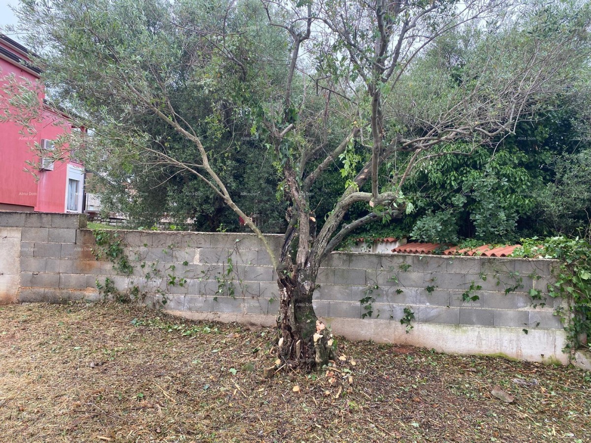 Эемля Poreč 11