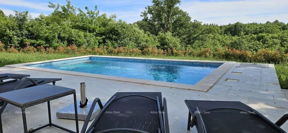 ПАЗИН, ВИЛЛА С БАССЕЙНОМ 3