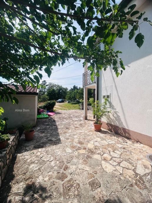 Buje – Samostojeća kuća s maslinikom i građevinskim zemljištem 9