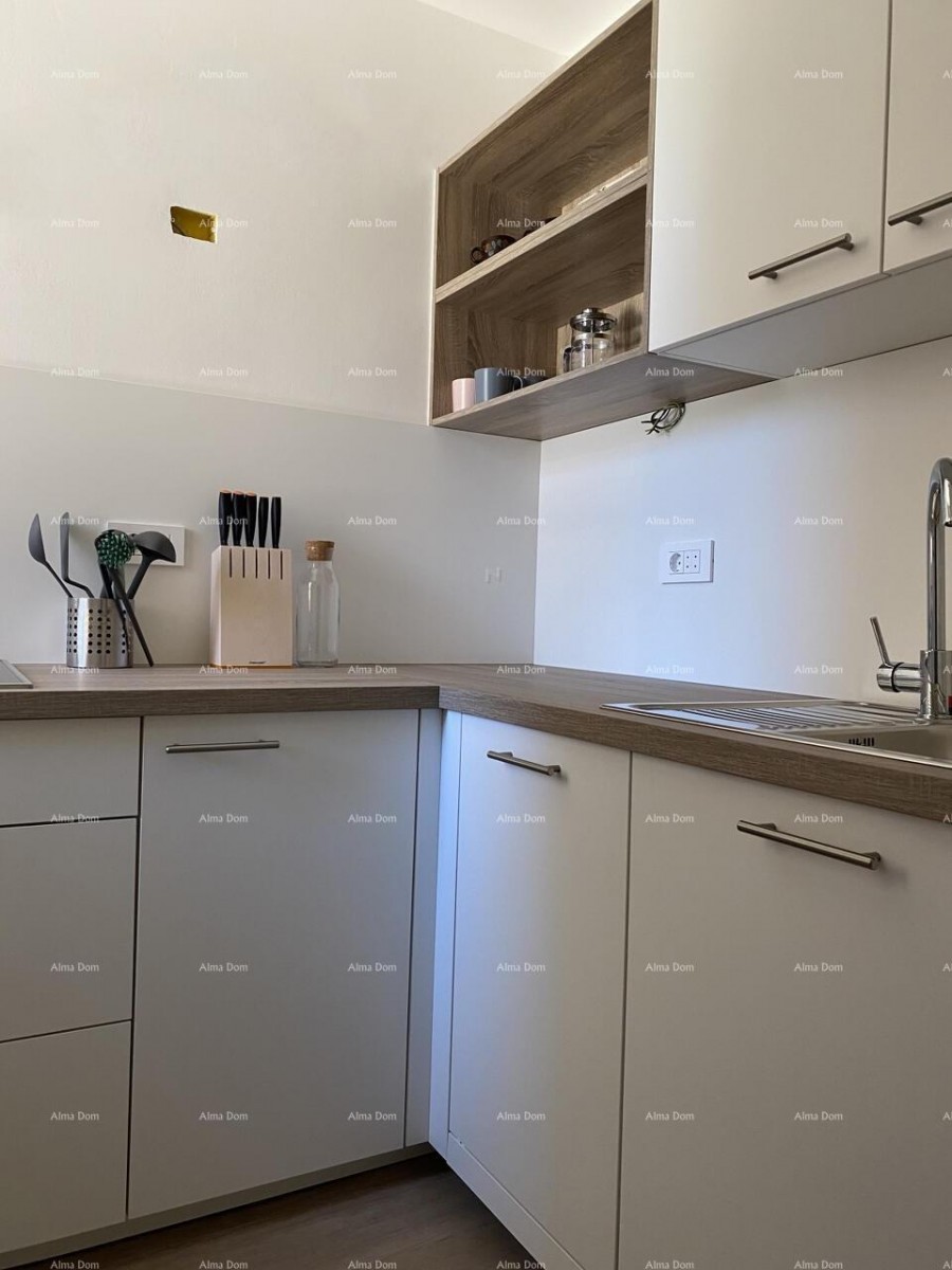 Umag, Crveni Vrh, kuća s tri odvojena apartmana 13