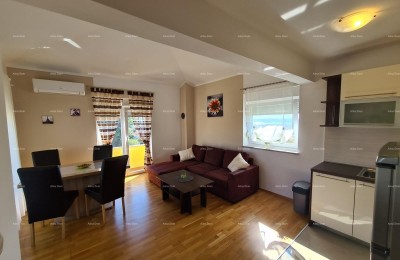 Medolino! Casa con 6 unità abitative separate!