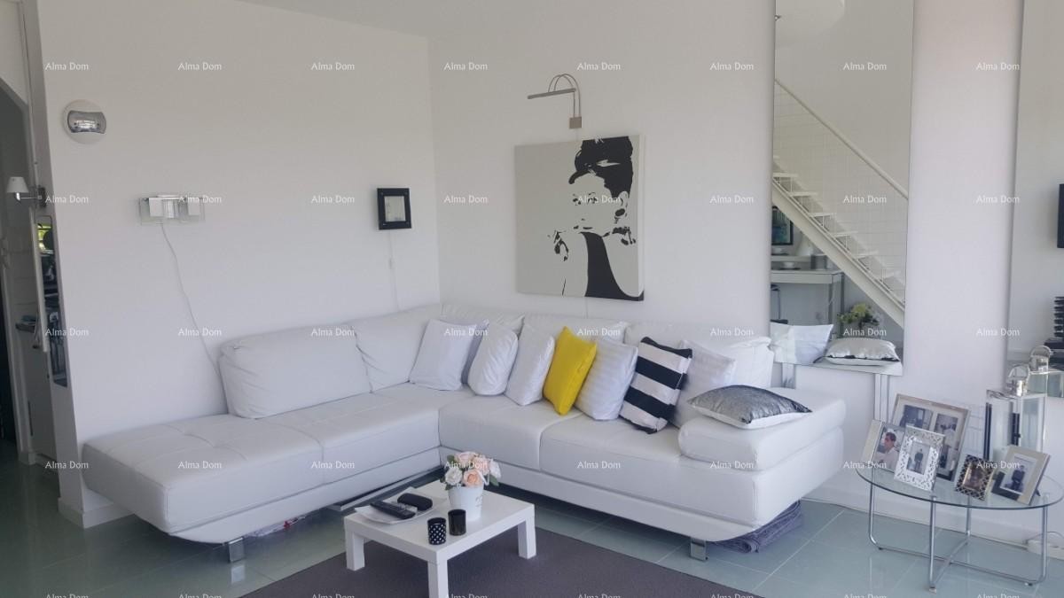 Apartment Novigrad 2