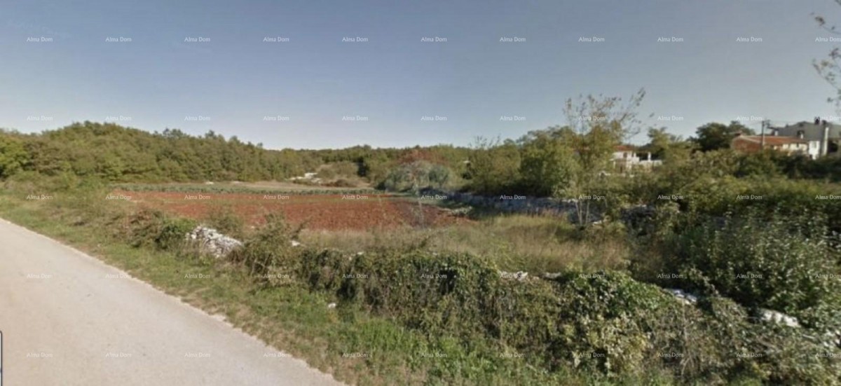 Строительная земля, Кринга, Тиньян 1