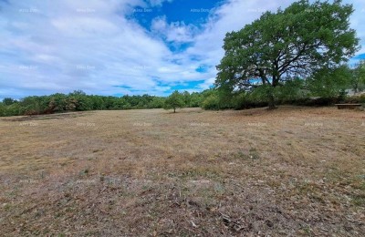 Sale of construction land, Kanfanar