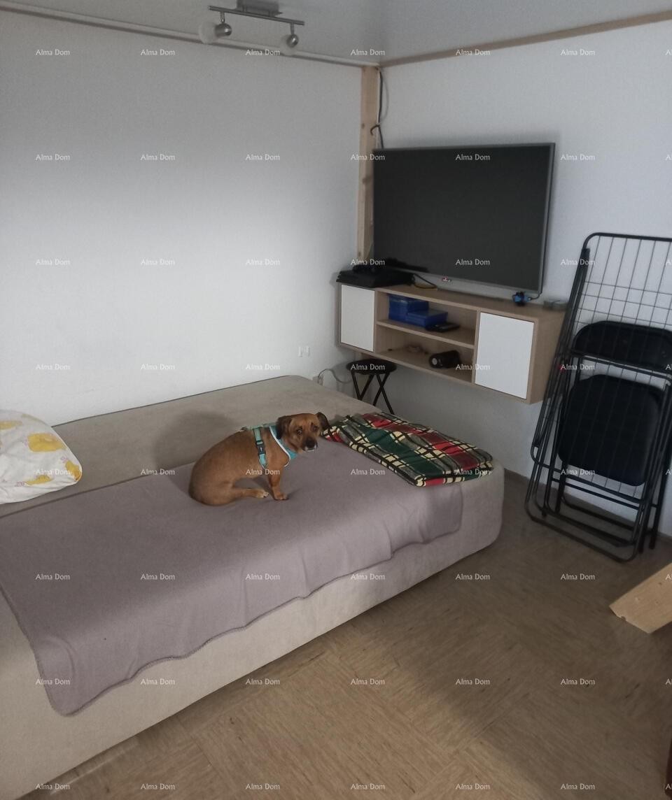 Apartment 32 m2, Mareda 2