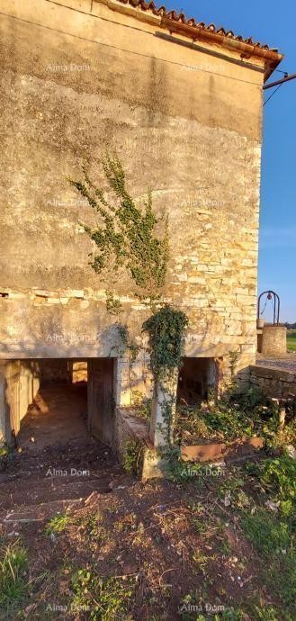 Galižana –kamena kuće s građevinskim zemljištem i šternom 3