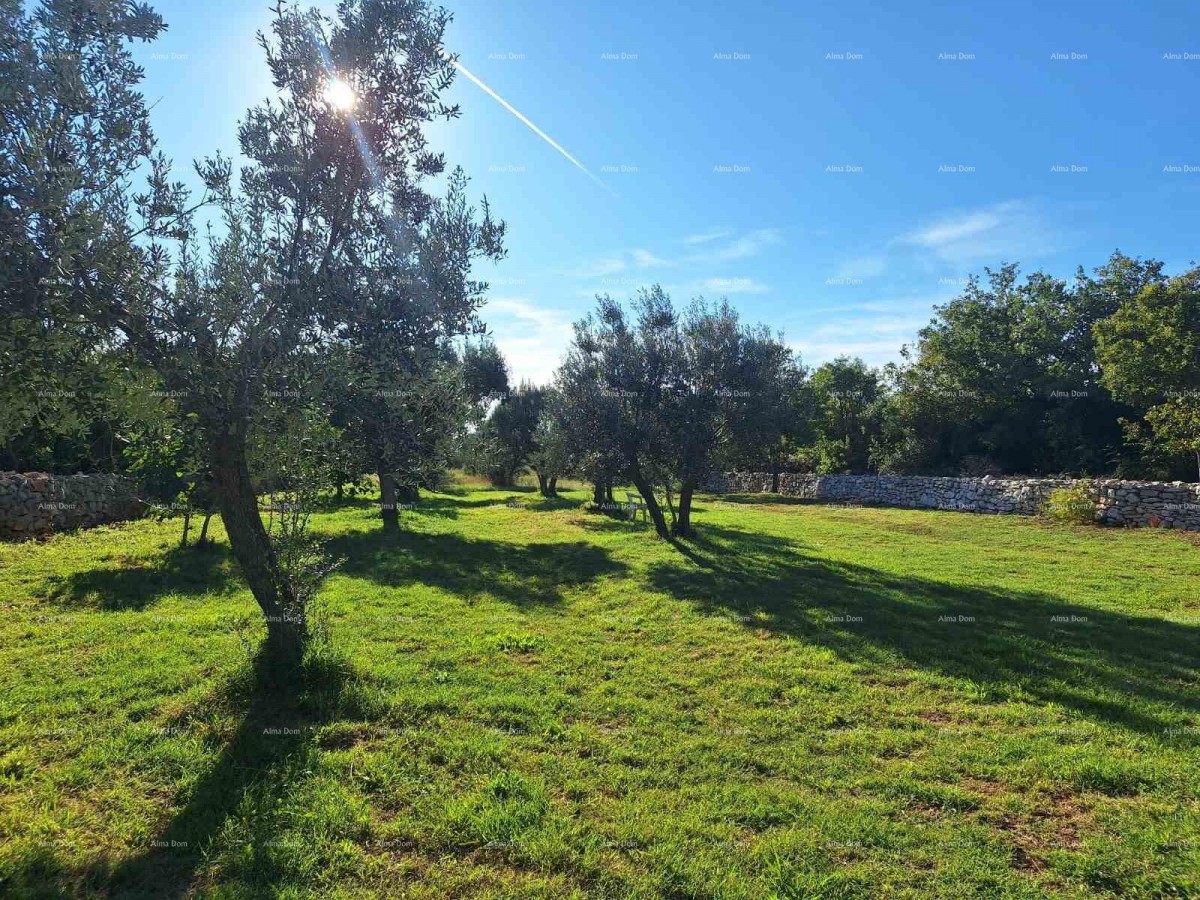 POLJOPRIVREDNO zemljište u blizini mora, Peroj-prodaja! 2