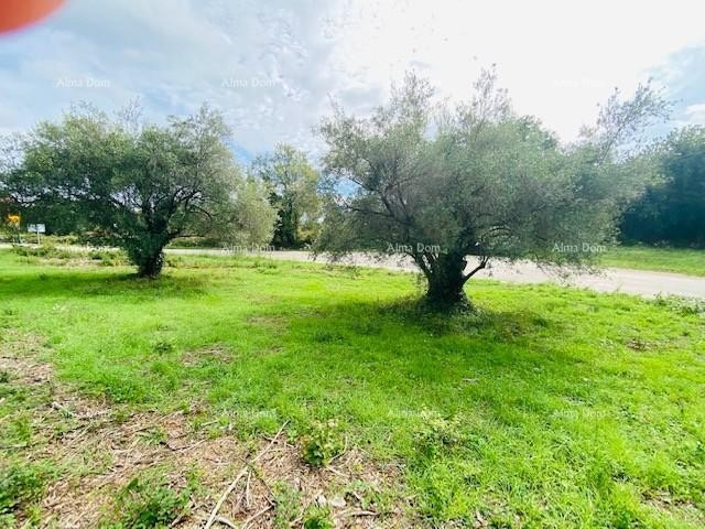 Zemljišče Marčana 3