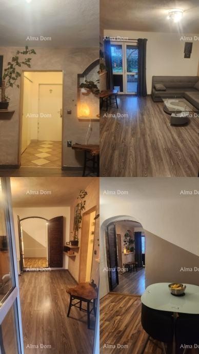 Продажа двух квартир на первом этаже дома с садом 13