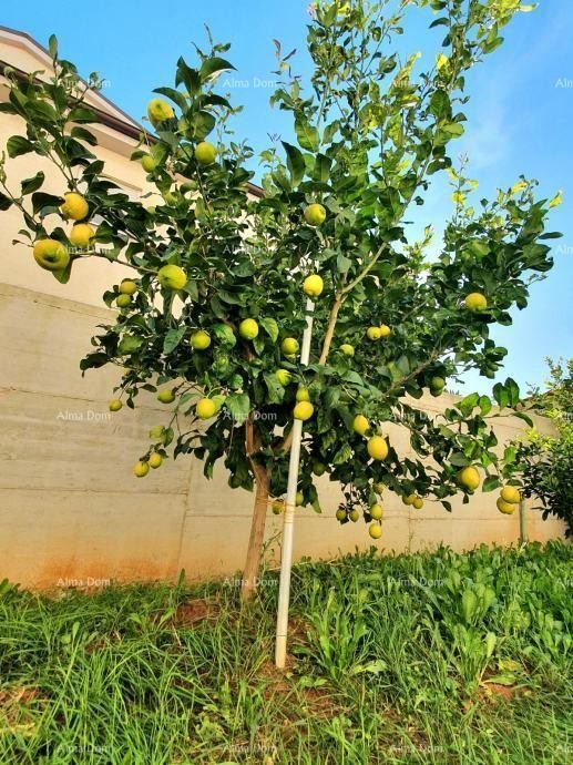In vendita ampio appartamento con galleria e terrazza sul tetto – Foresta di Šijana 17