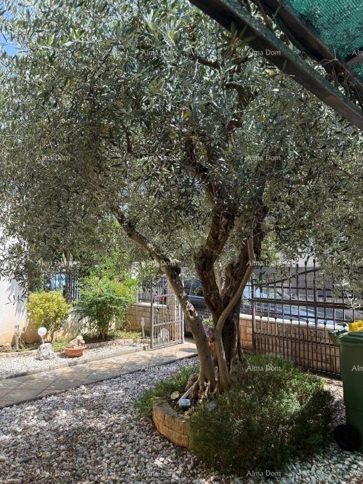 Продается дуплексный дом в Порече, 2 км от моря. 17