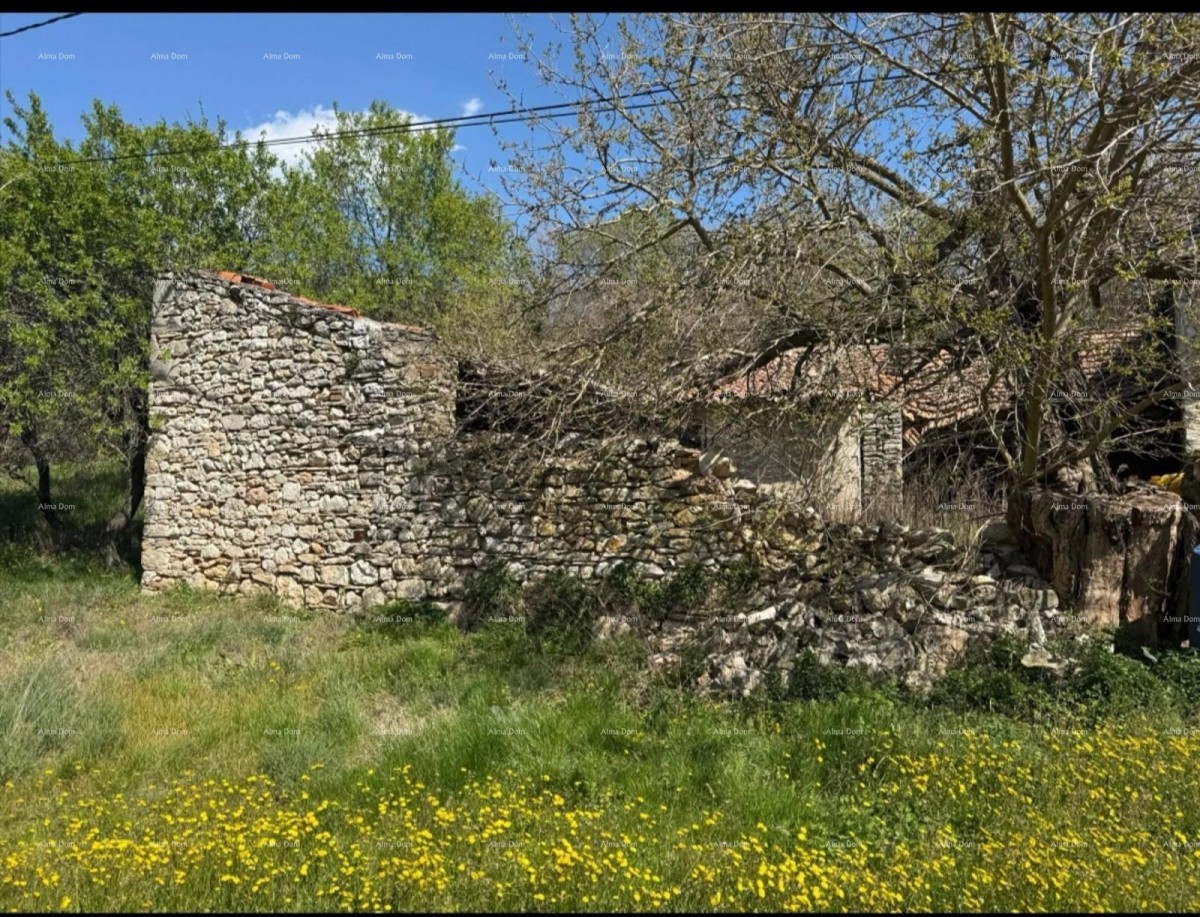 RAŠA, STARINA S VELIKOM OKUĆNICOM 15