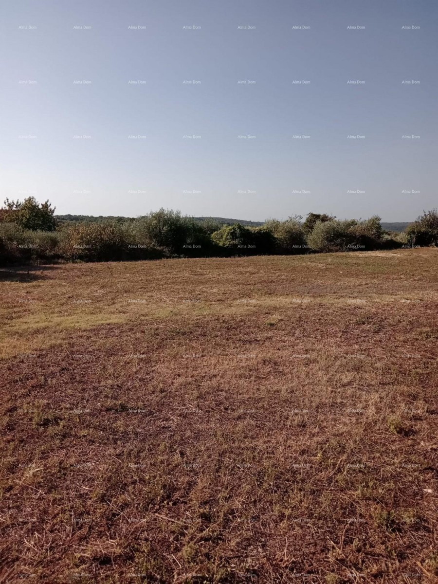 Эемля Marčana 1