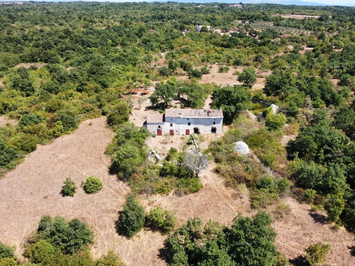 Stancija pri Vodnjanu! Veliko zemljišče 6390 m2!! 19