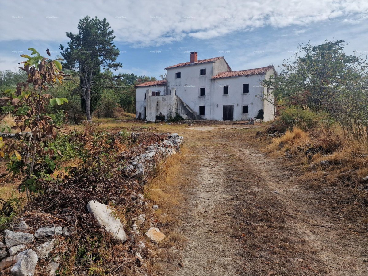 ISTRIA VILLA WITH POOL AND 4,000 m² OF LAND – OPRTALJ 14