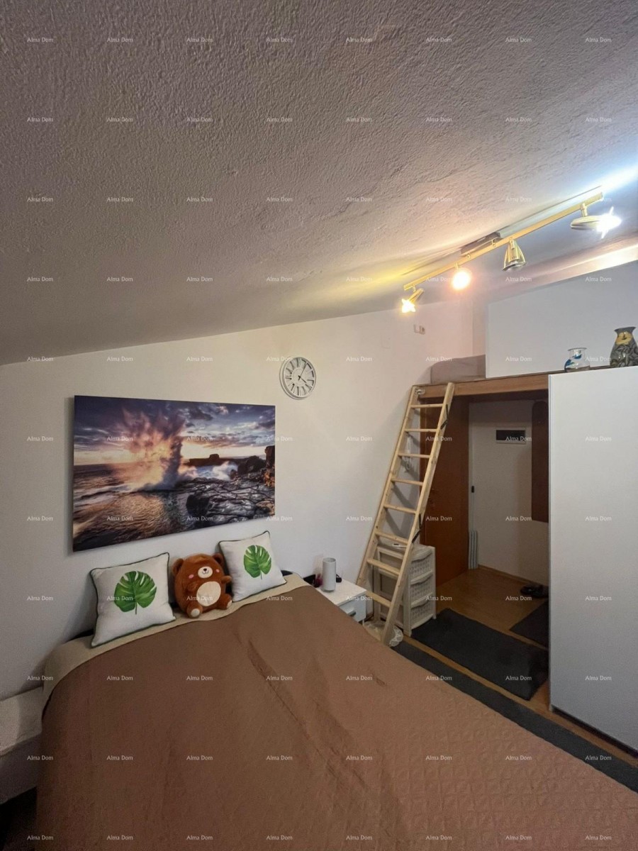 Красивый, функциональный апартамент в тихой части Медулина 13