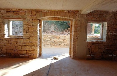 Detached house under construction – Tinjan