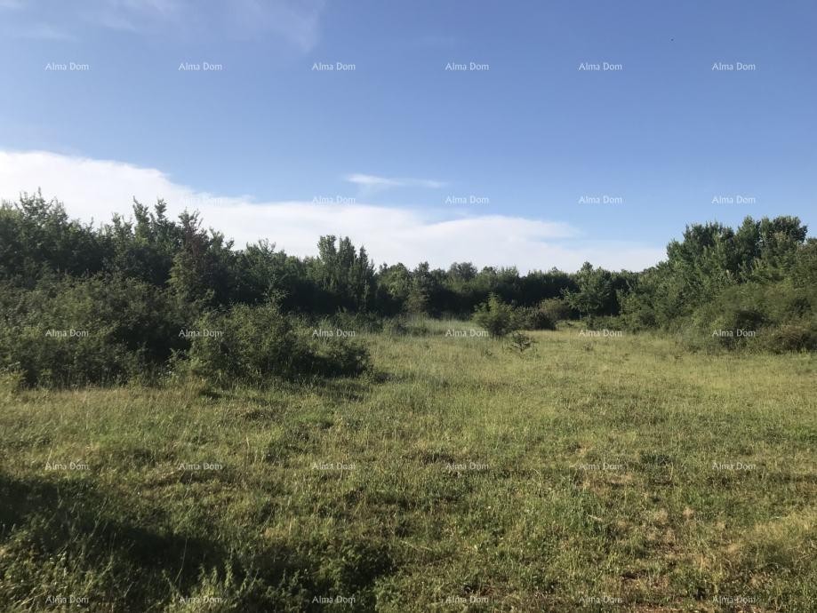 MARČANA, Rakalj - 2 urbanized building plots for sale 1