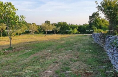 Marčana, Filipana – Terreno Edificabile