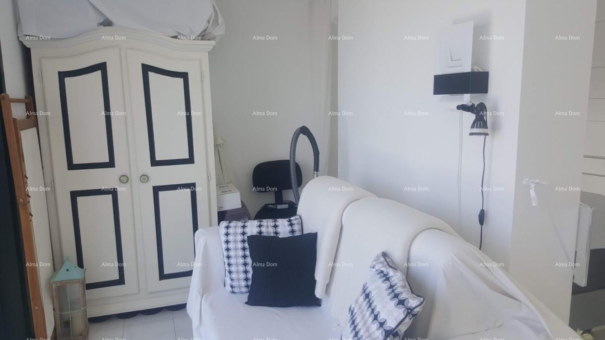 Apartment Novigrad 6