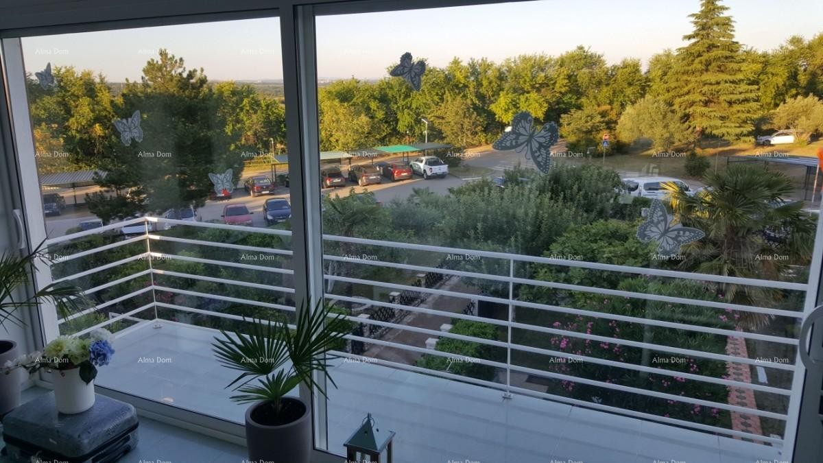 Apartment Novigrad 1