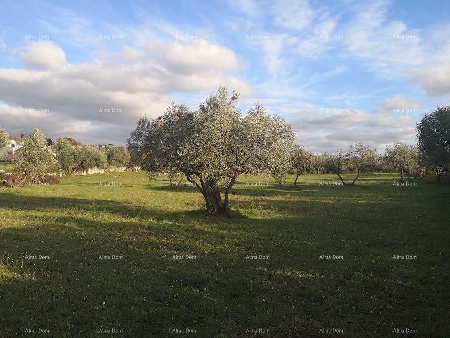 Prodaja građevinskog zemljišta sa pogledom na more, Fažana! 3