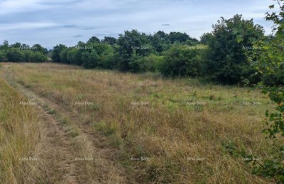 Građevinsko zemljište površine 1.600 m² u blizini Svetvinčenata