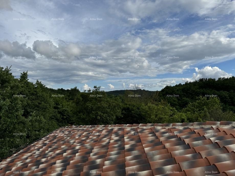 La bellissima proprietà in vendita è circondata da foreste e vigneti, con vista su Gračišće e Učka! 15