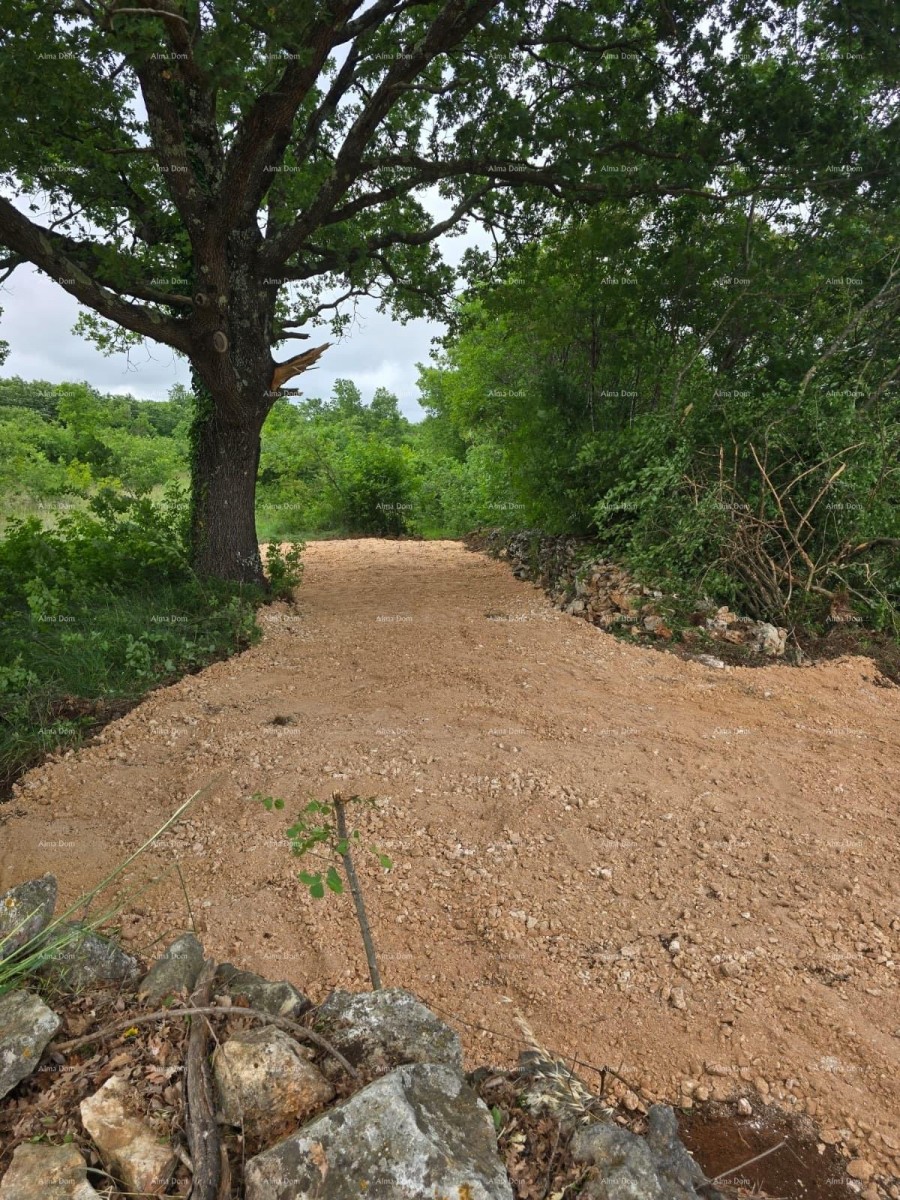 VENDITA – Terreno edificabile con permesso di costruzione e progetto di casa con piscina, Marčana! 6