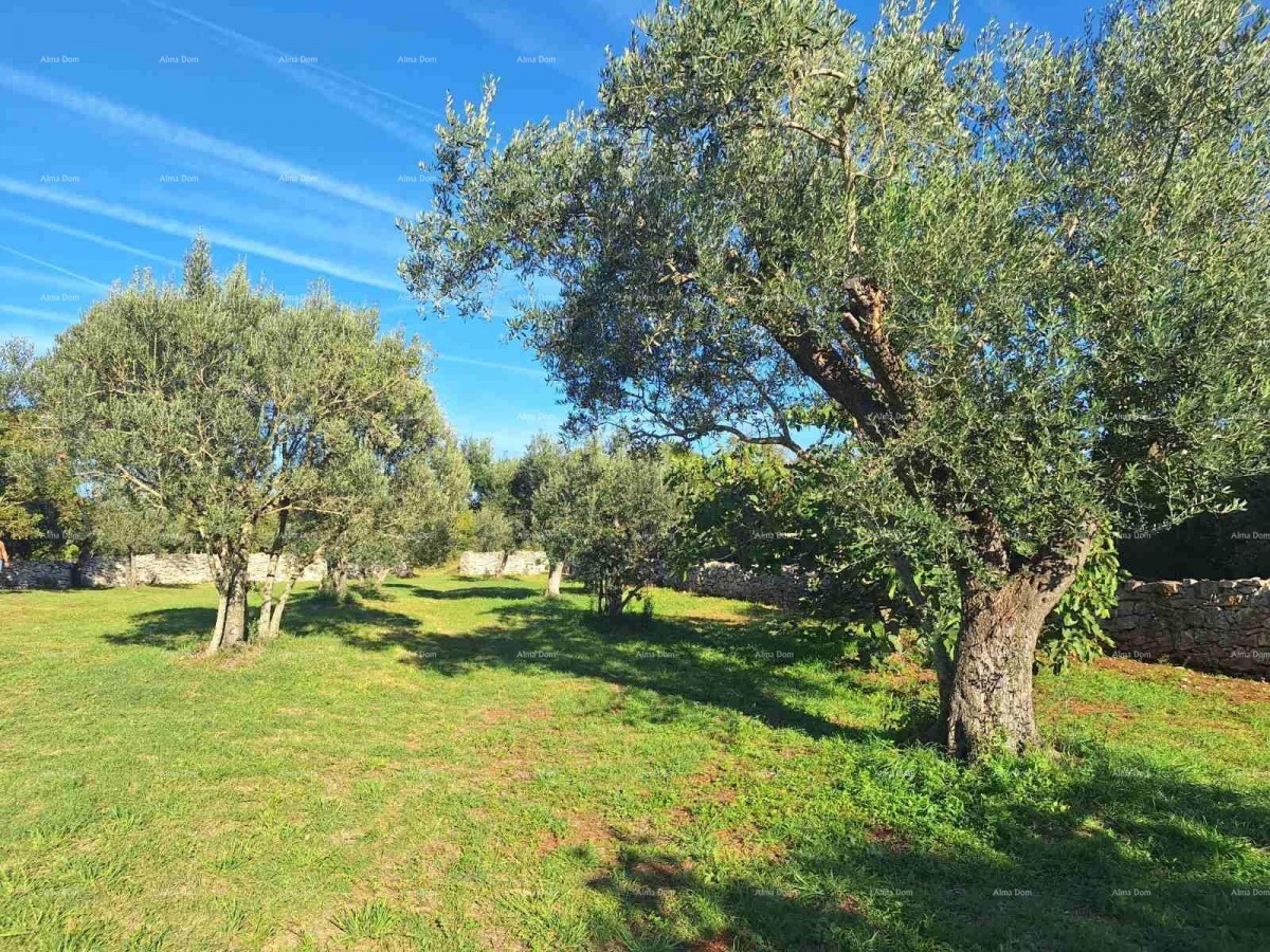 Agricultural Land Near the Sea, Peroj - For Sale! 1
