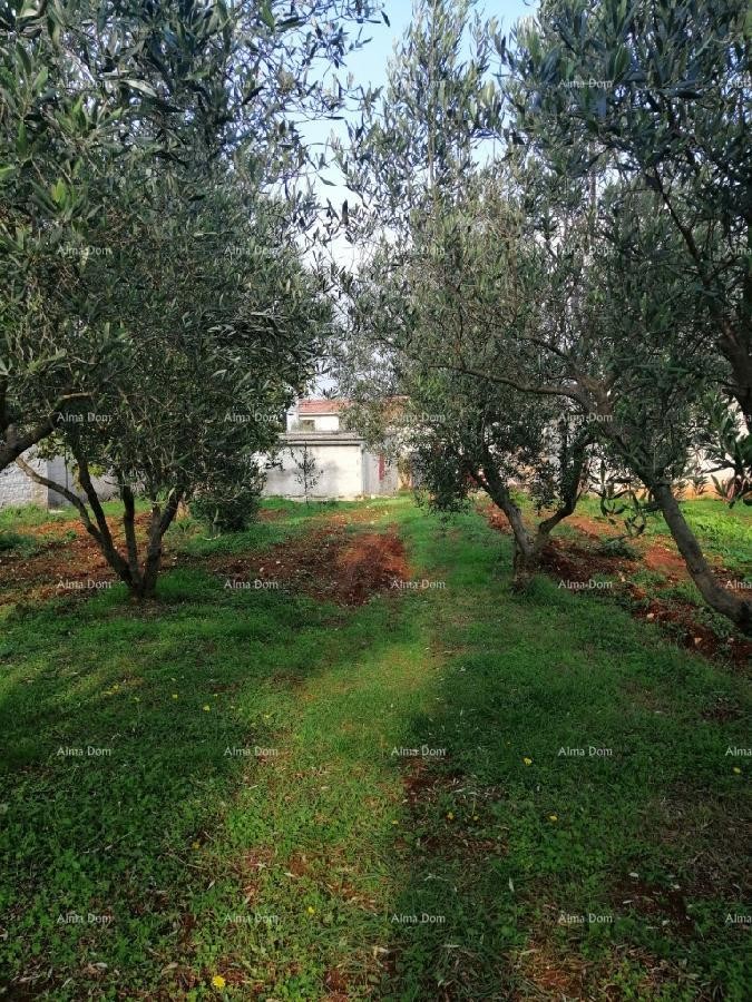 Građevinski teren sa 3 manja legalizirana objekta. Vareški. 18