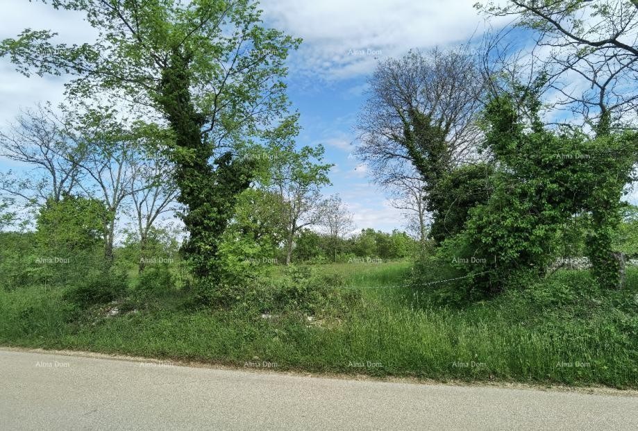 Odlično zazidljivo zemljišče za investicijo. 11