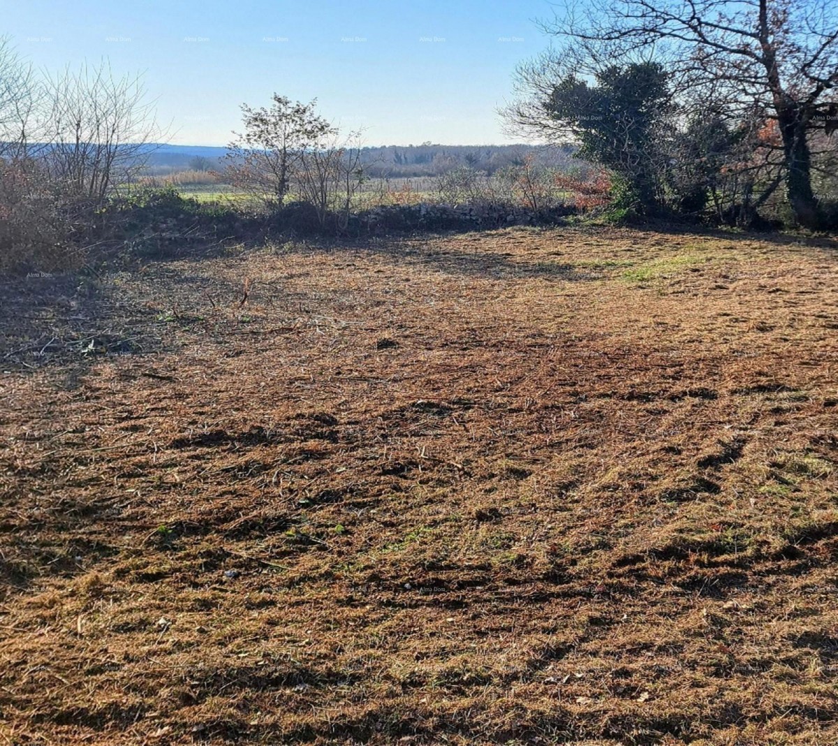 Višnjan – Construction Land 3,500 m² 4