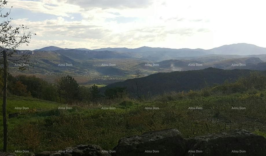 Odlična priložnost! Kamnita hiša za obnovo z veliko parcelo, blizu Buzeta! 9