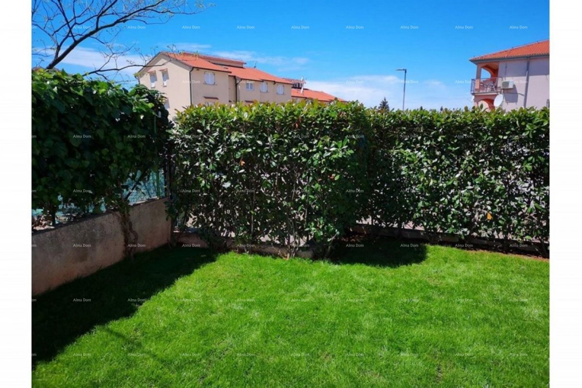 Spacious apartment with a yard, Tar 1