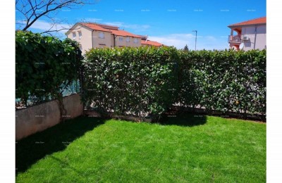 Spacious apartment with a yard, Tar