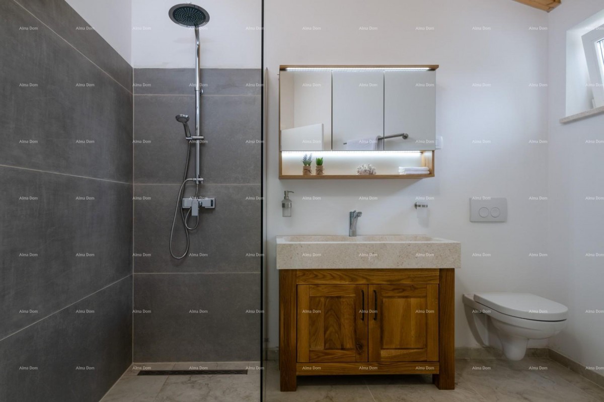 Sale - Luxury Villa with Pool and Jacuzzi on a Spacious Property, Marčana! 16