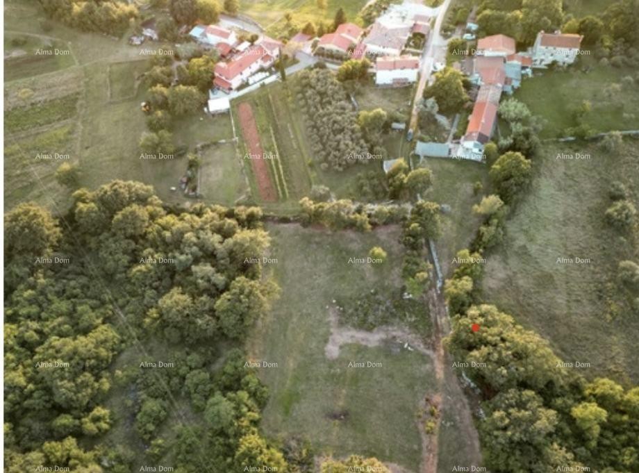 Stara kamena kuća u Istri, Buje, 5km od mora 17