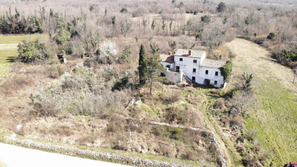 ISTRIA VILLA WITH POOL AND 4,000 m² OF LAND – OPRTALJ 9