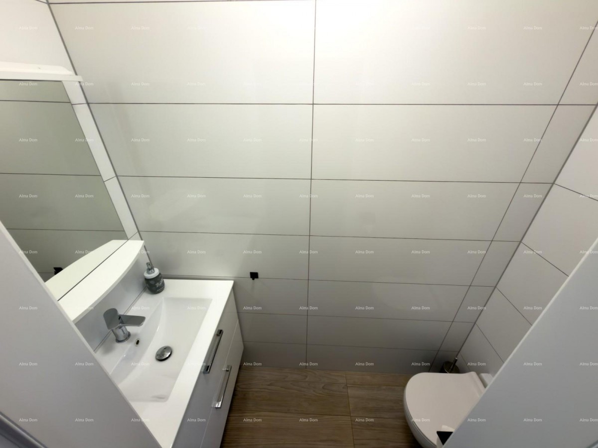Blizna grada Svetvinčenat. Dvojna kuća okružena zelenilom. 8