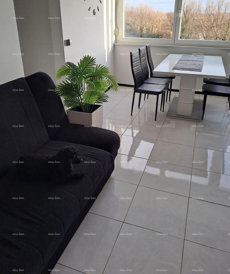 Stanovanje Novigrad 1