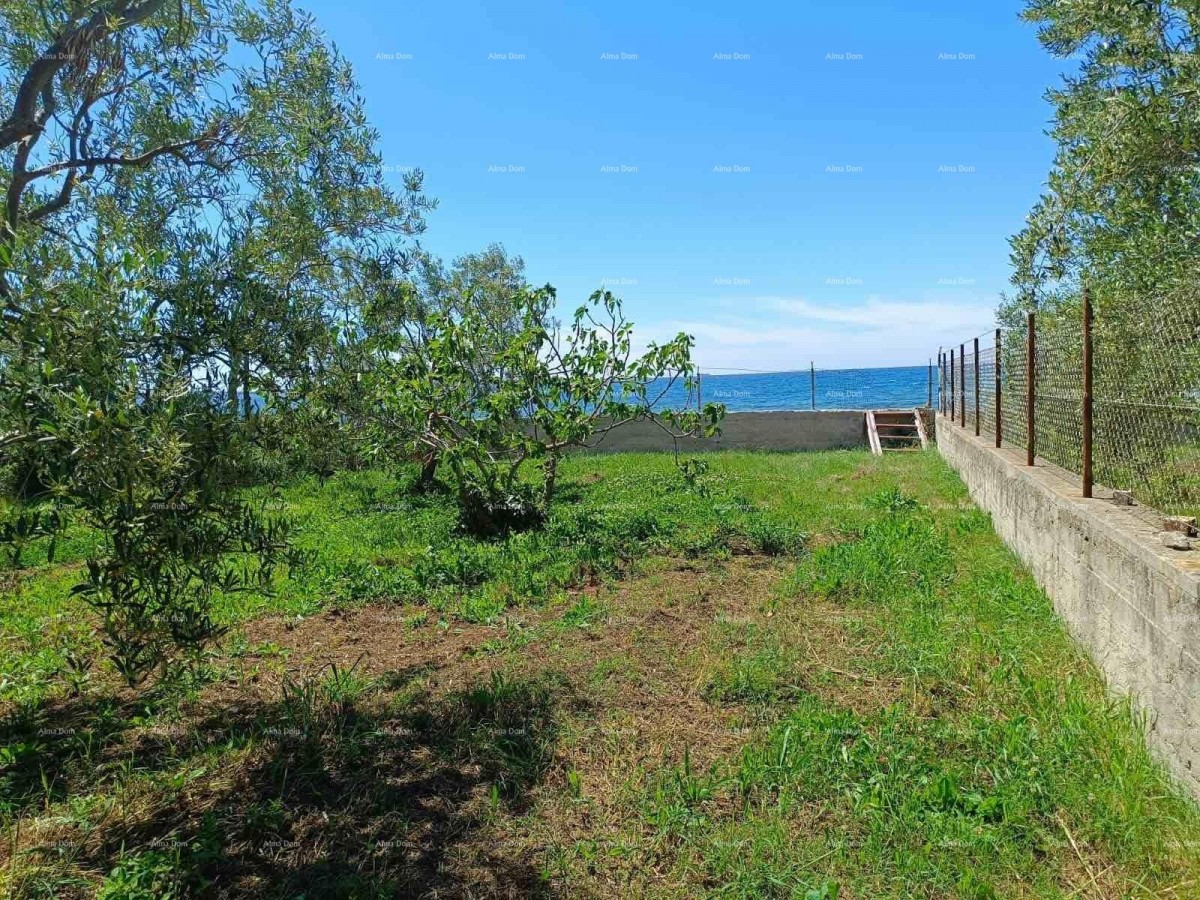 PEROJ – TERRENO AGRICOLO 2.715 m² VICINO AL MARE 7