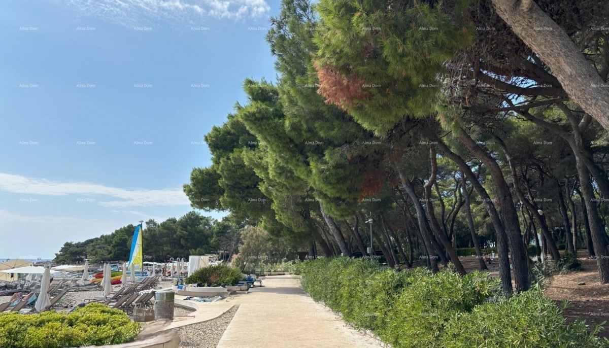 ROVINJ - stanovanje naprodaj v luksuzni rezidenci ob morju / S11 29