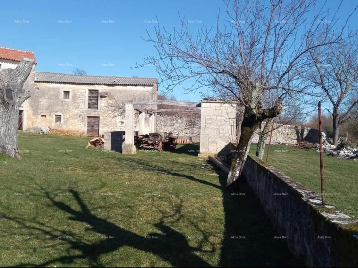 Pazin, Istria - due vecchie case in pietra con ampio terreno 1